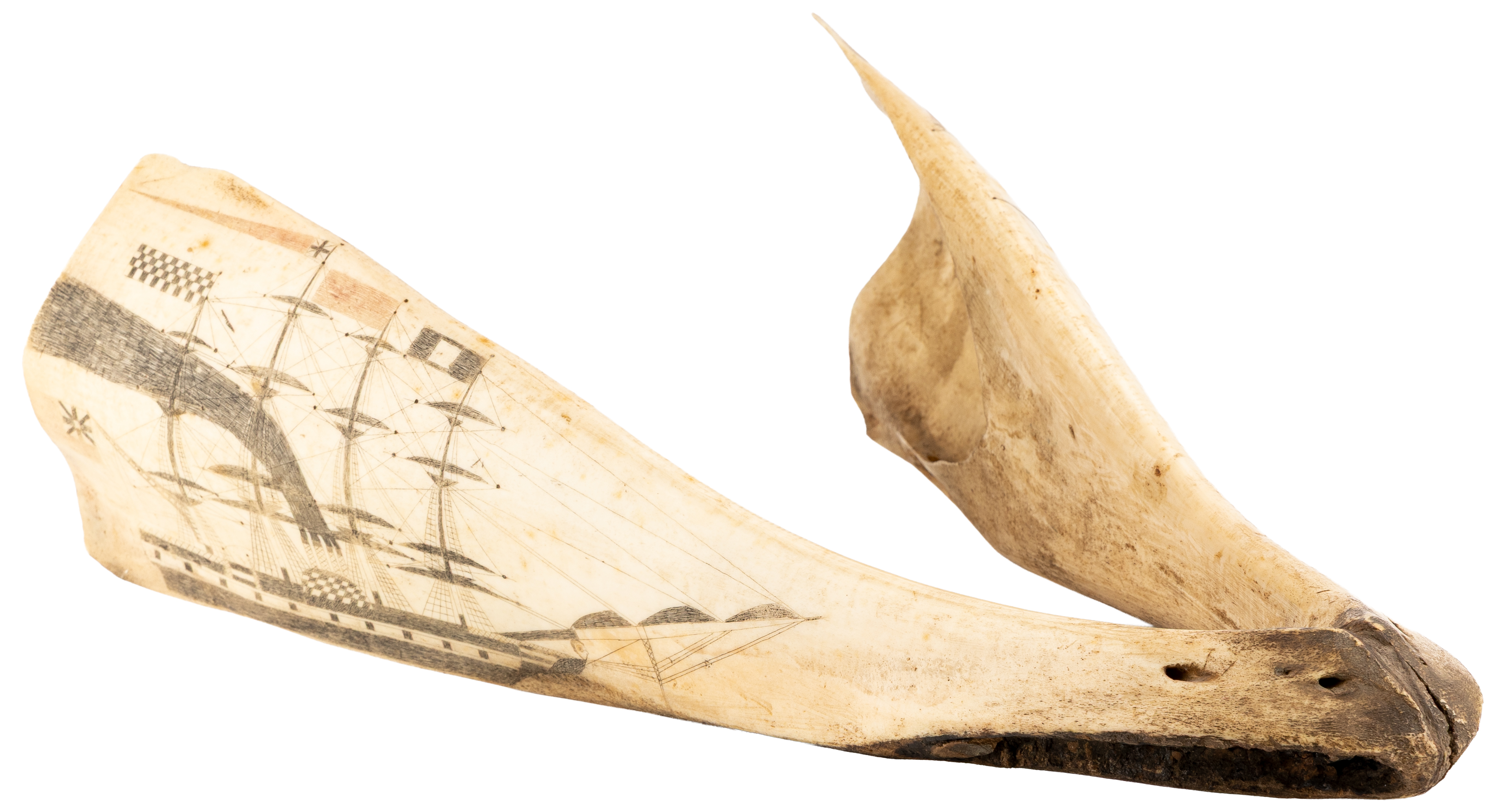 181 · Scrimshaw, Lower Whale Jaw, C. 1800S,  aVF
