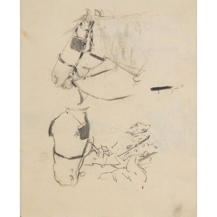 Stanisław Kamocki | Studia głowy konia w uprzęży, ok. 1900 r.