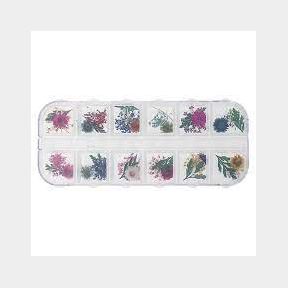 12 Colors Nail Dry Flowers for 3D Nail Art 51663/7044 | PK (SB5)