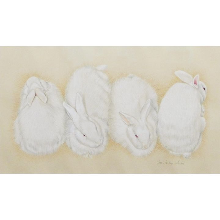 Sue Jackson Andre "White Hare" Conte Crayon on Paper Framed