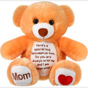 SYMPATHY BEARS FOR BOYS AND GIRLS LOSS OF MOM, MEMORIAL STUFFED ANIMAL FOR LOSS OF MOM BOYS AND GIRLS SYMPATHY GIFT FOR GRIEVING B