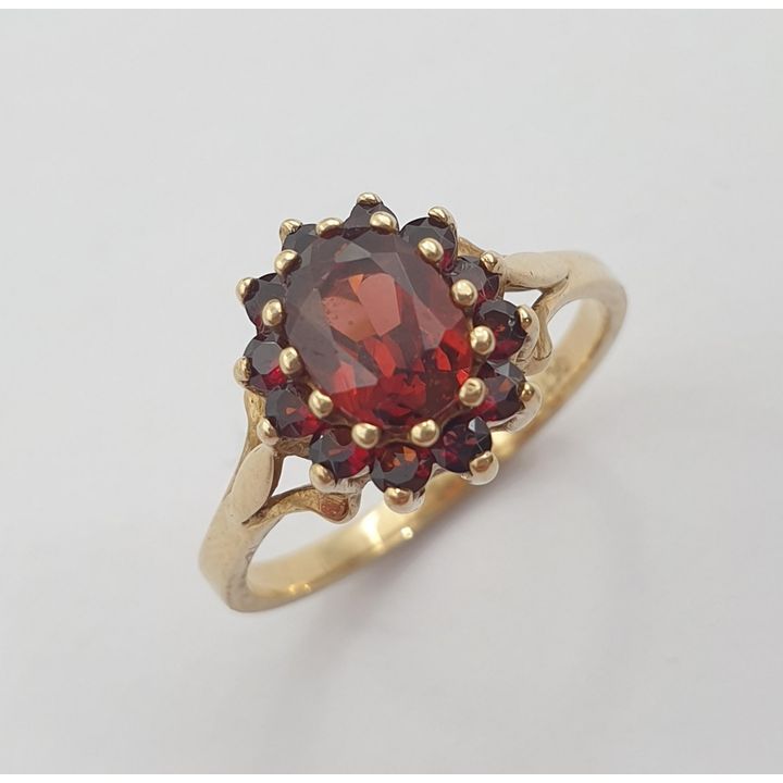 9ct Y/G Garnet Ring