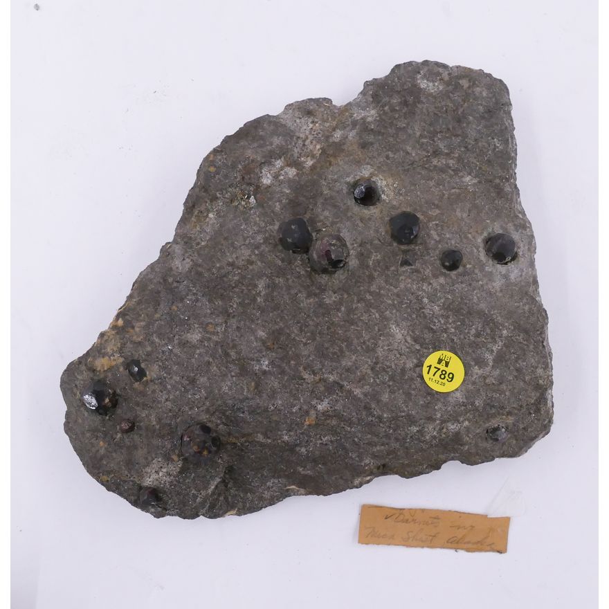 Garnets in Matrix Specimen- 9''