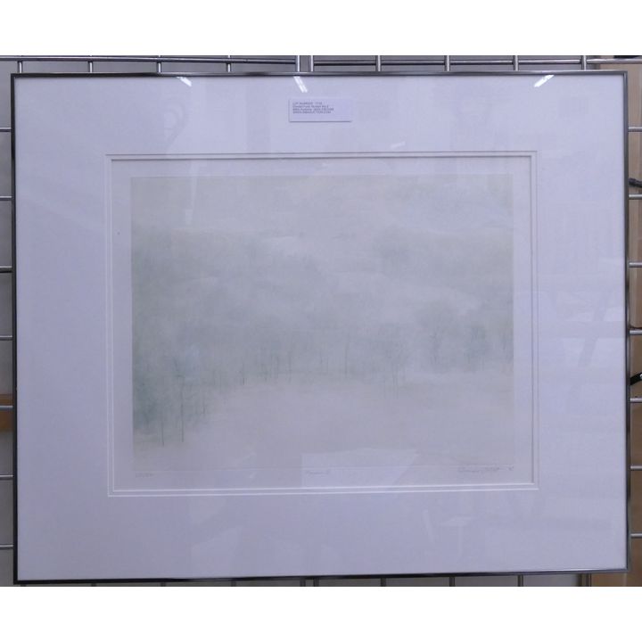 Donald Furst 'Numen No.2' S/N Etching- 21x26'' framed