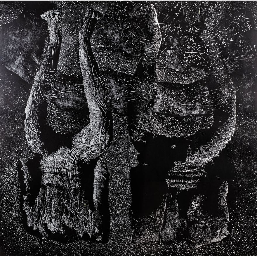 Surogaci, 2013 r.