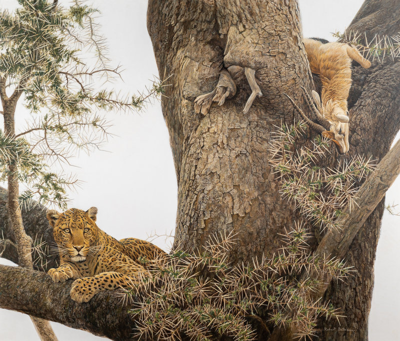 Robert Bateman
(Canadian, b. 1930)
Leopard and Thomson Gazelle Kill, 1975