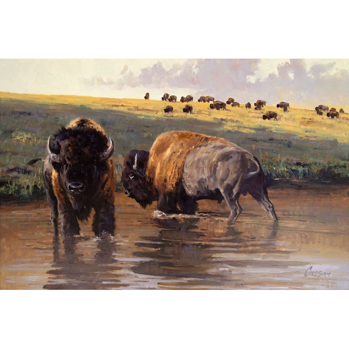 Ken Carlson (1937- ), Waterhole Rulers