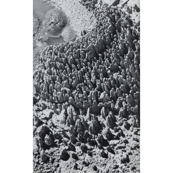 Theo Schoon 'Untitled - Silica Formation'