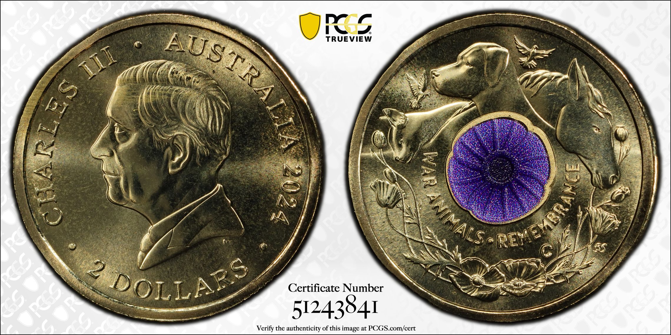 War Animal Remembrance Colorized, Two Dollar, 2024-C, PCGS MS70