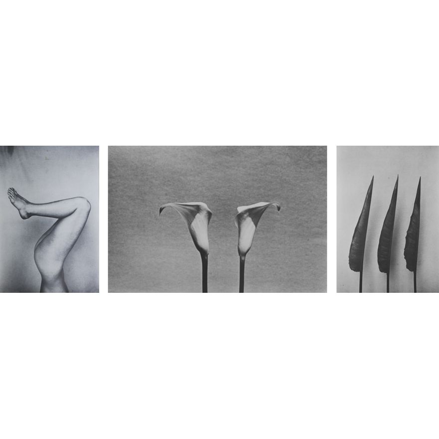 Peter Peryer, 'The Alphabet series'