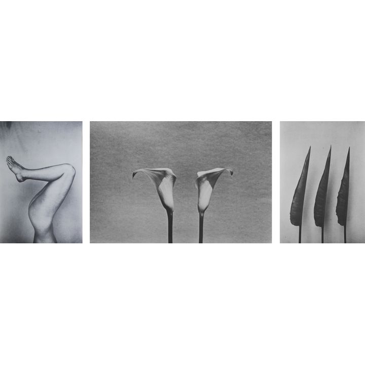 Peter Peryer, 'The Alphabet series'