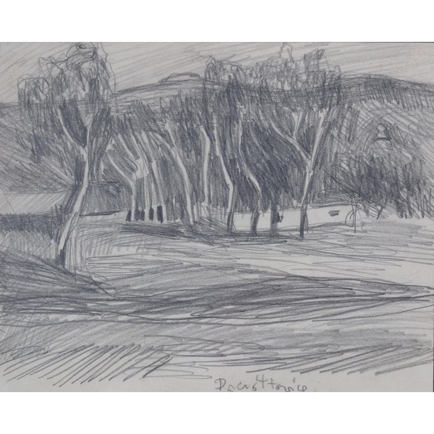 Stanisław Kamocki | Paczółtowice, ok. 1908 r.