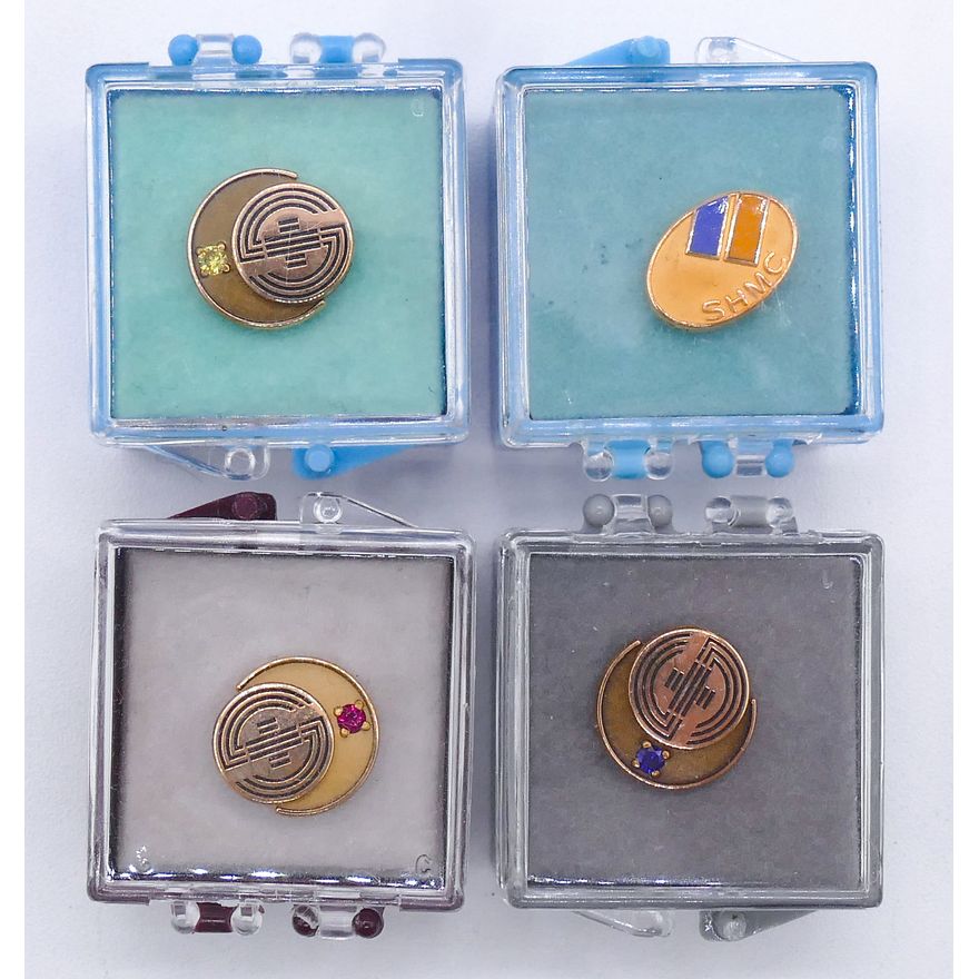 Box Gold Filled Swedish Year Pins