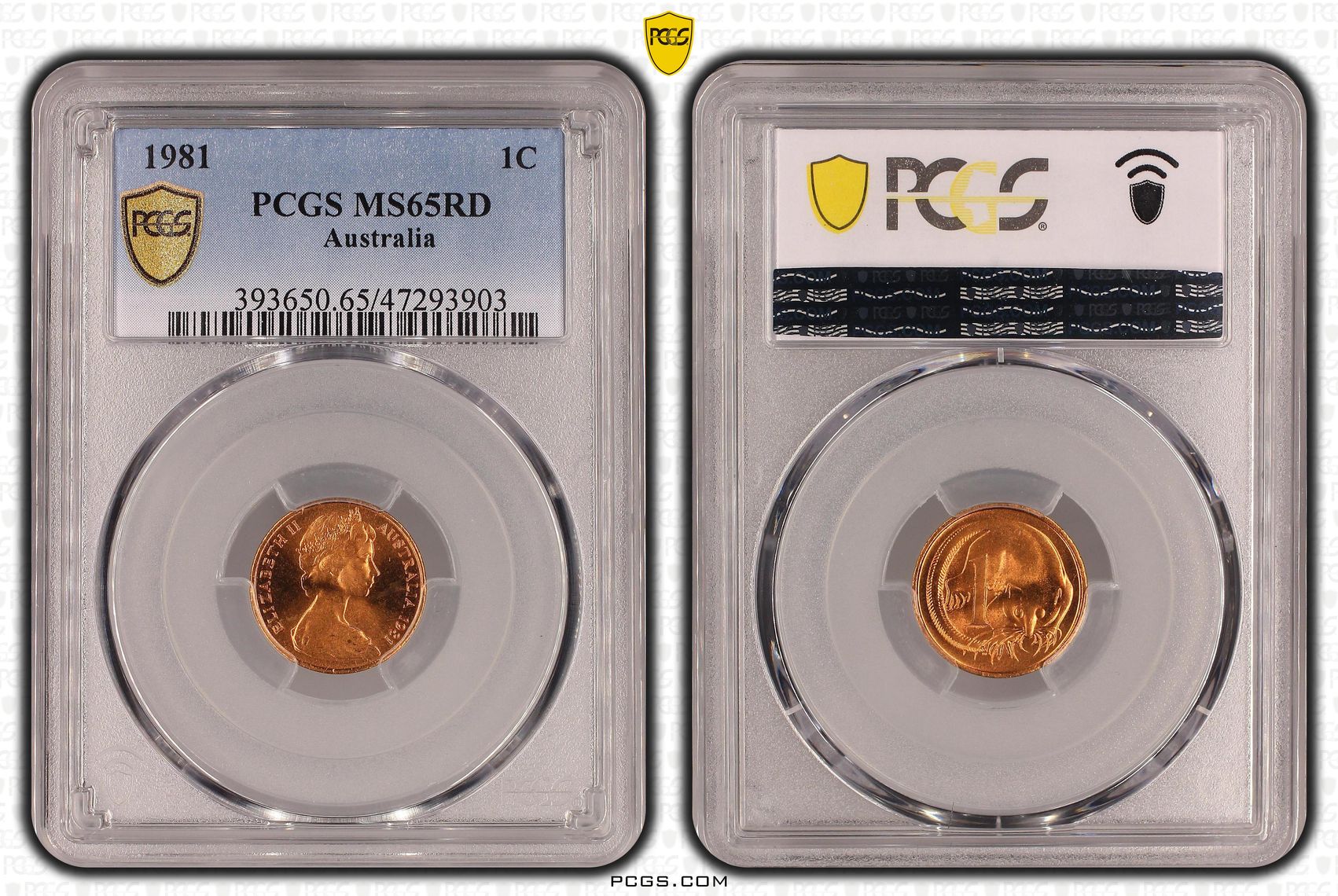 12 · One Cent, 1981, PCGS MS65RD