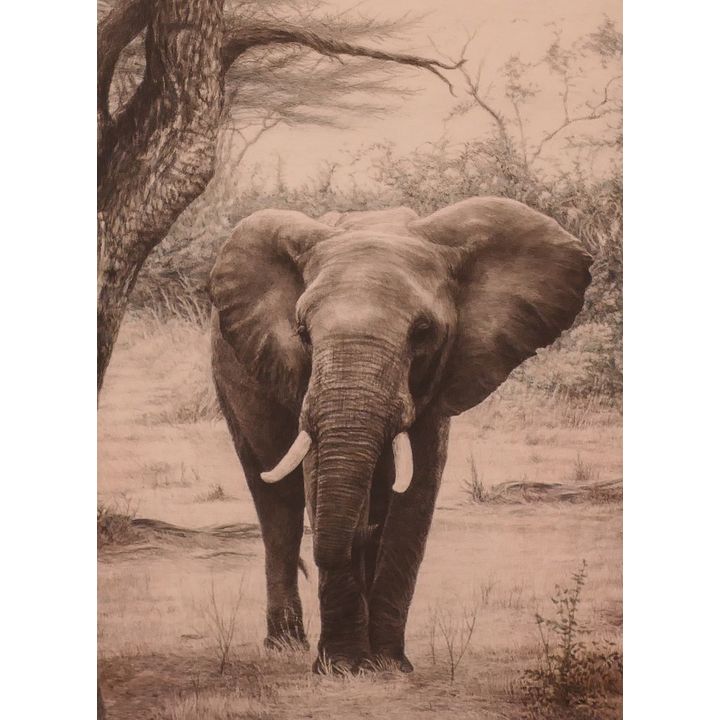 ''Ndovu'' S/N Lithograph. Edition 248/350. Signed 'Curry'. Framed Measurements 36x29''