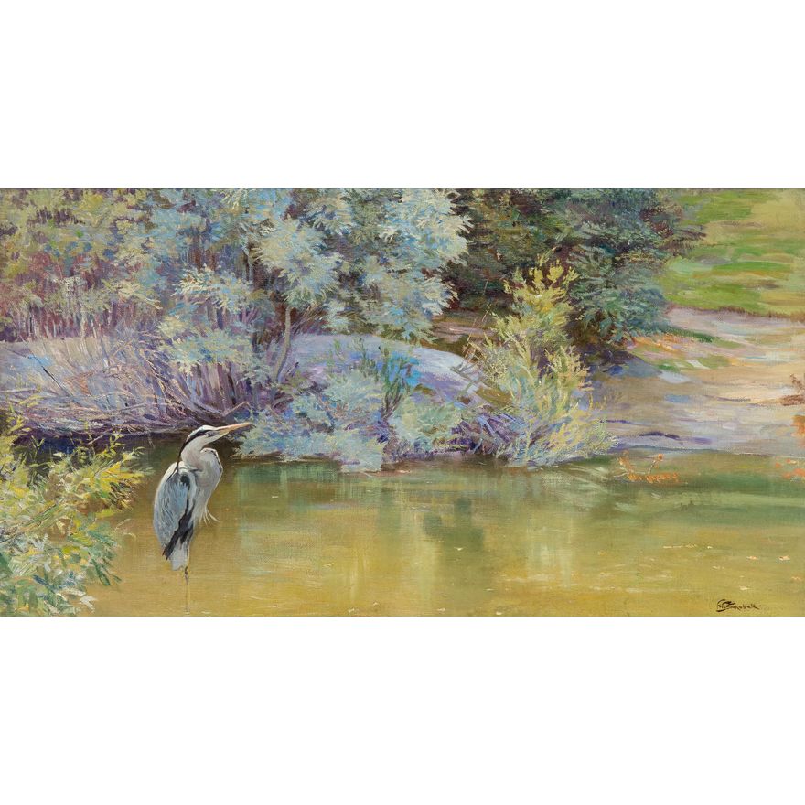 Ferdinand Schebek | Czapla - Fischreiher