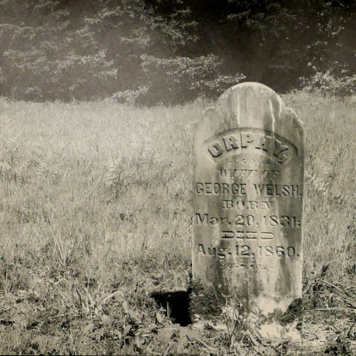'Grave of George Welsh'' Gelatin Silver Print