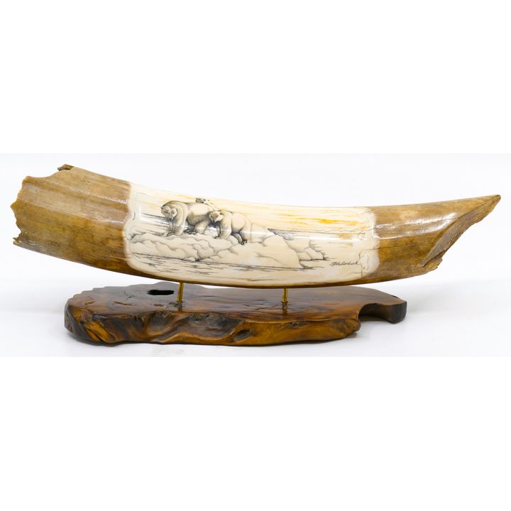 J.L Hallenbeck Polar Bear Scrimshawed Fossilized Tusk Fragment on Stand 10''