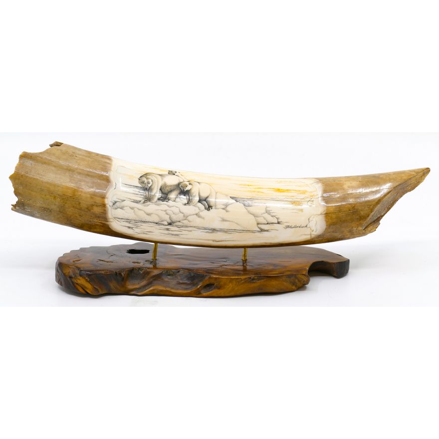 J.L Hallenbeck Polar Bear Scrimshawed Fossilized Tusk Fragment on Stand 10''