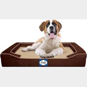 Sealy Memory and Orthopaedic Foam Dog Bed Brown XL |