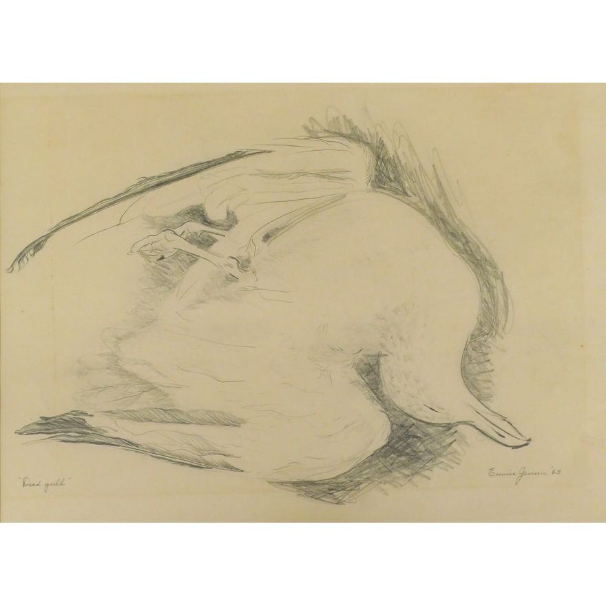 Eunice Jensen Parsons ''Dead Gull'' 1963 Graphite