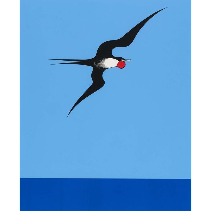 Don Binney 'Pacific Frigate Bird'