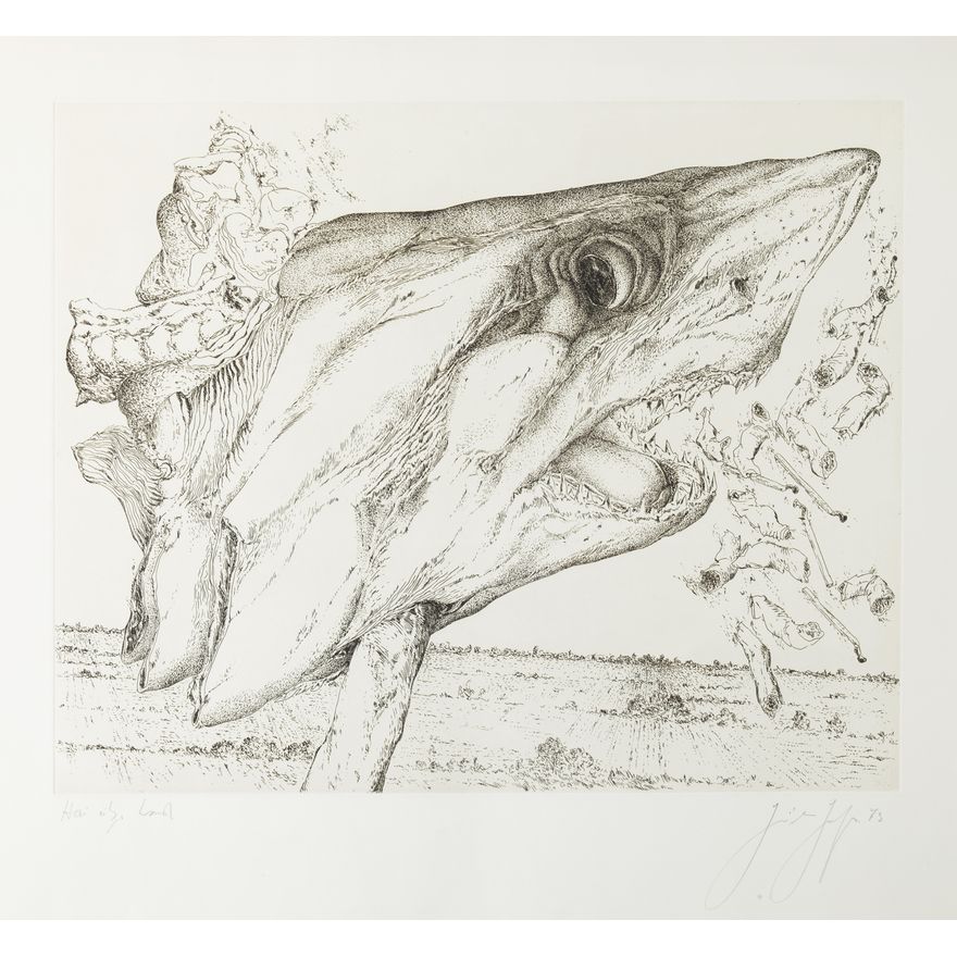 Günter Grass | Hai uber Land (rekin nad ziemią), 1973