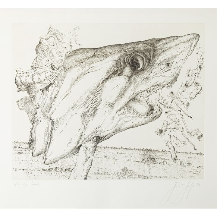 Günter Grass | Hai uber Land (rekin nad ziemią), 1973