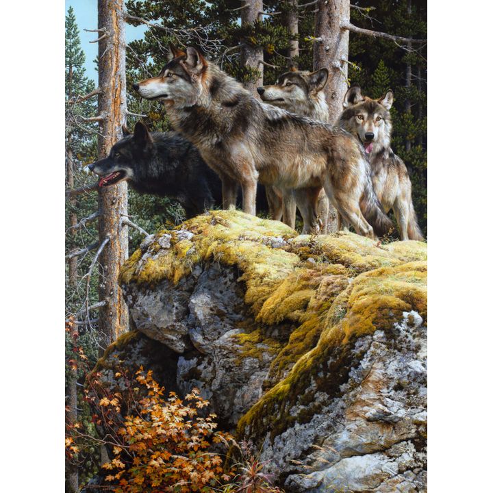 Carl Brenders (1937-), Lookout Tower, Timberwolves