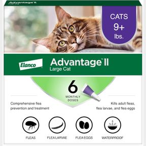 6-PACK ADVANTAGE II LARGE CAT VET-RECOMMENDED FLEA TREATMENT & PREVENTION | CATS OVER 9 LBS. | 6-MONTH SUPPLY