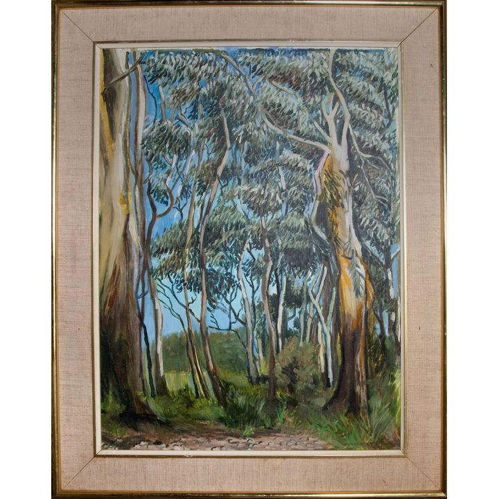 Lillian Bosch, 'Springbrook Trees',