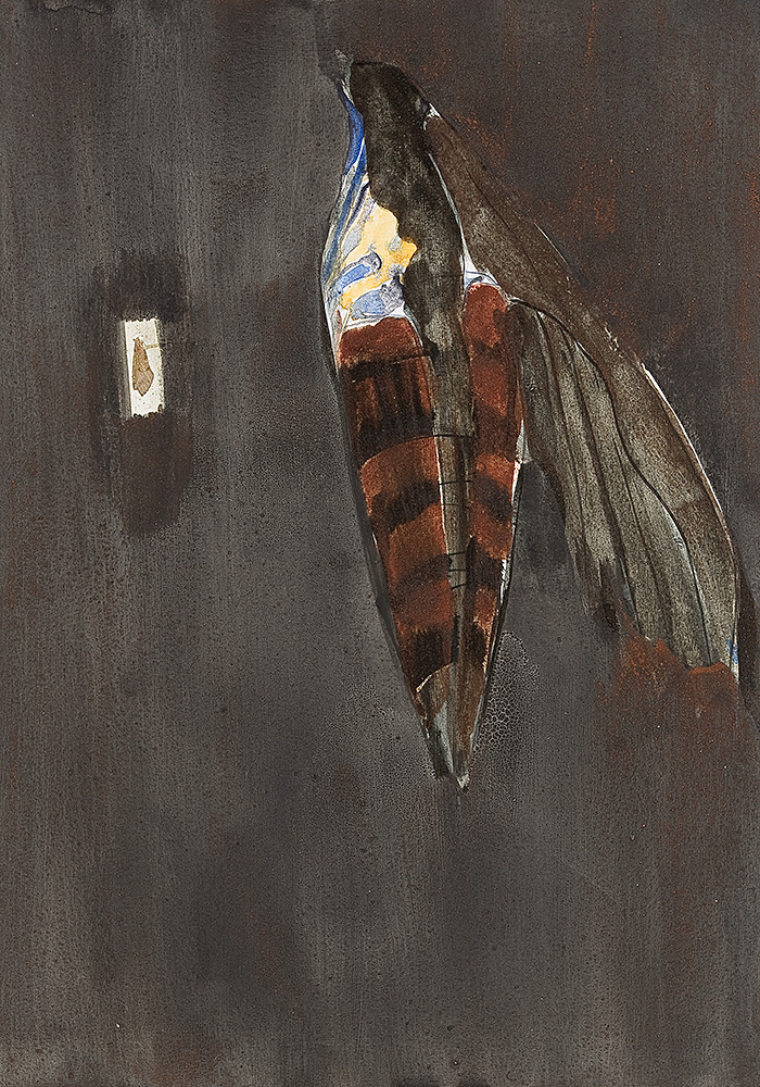 Image cover