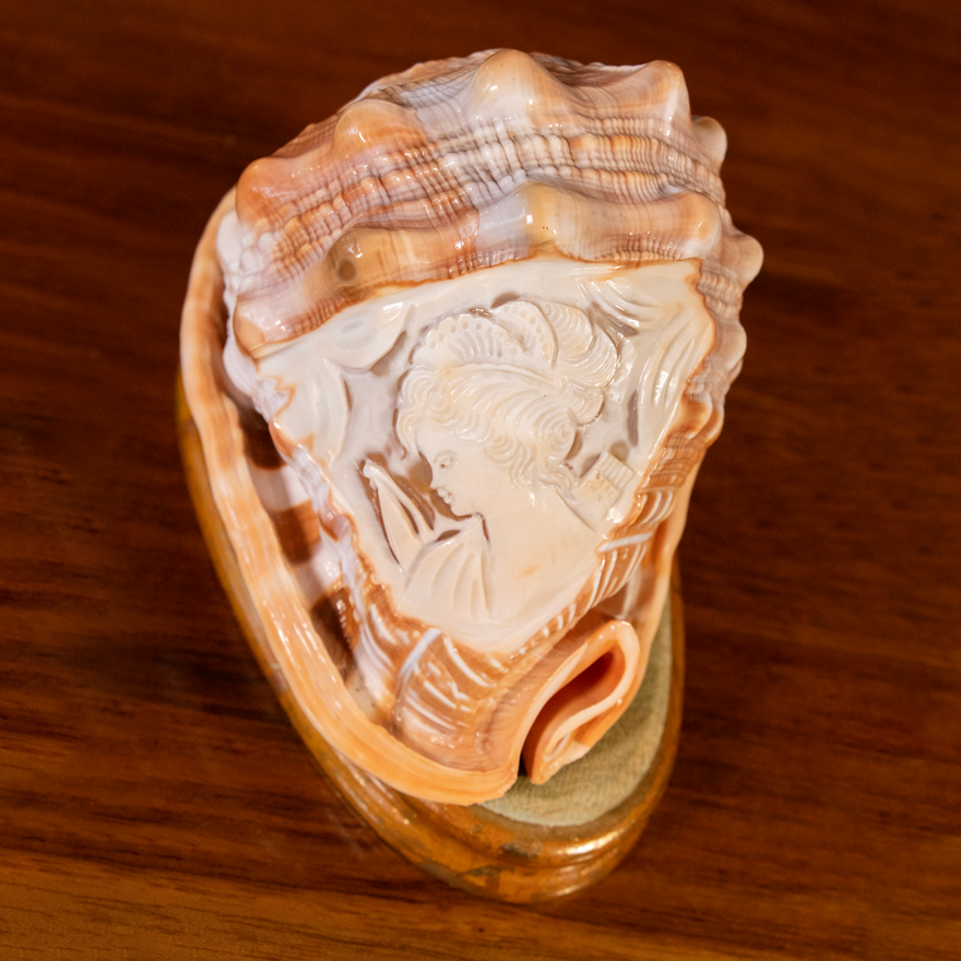Caracol con Camafeo