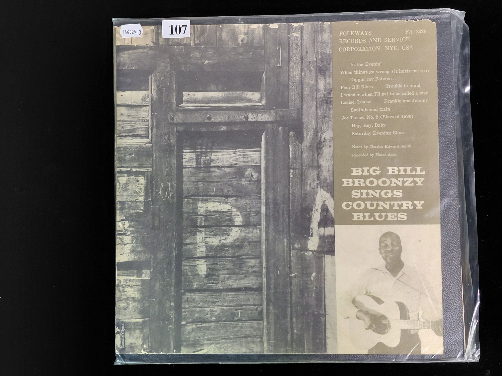 Big Bill Broonzy