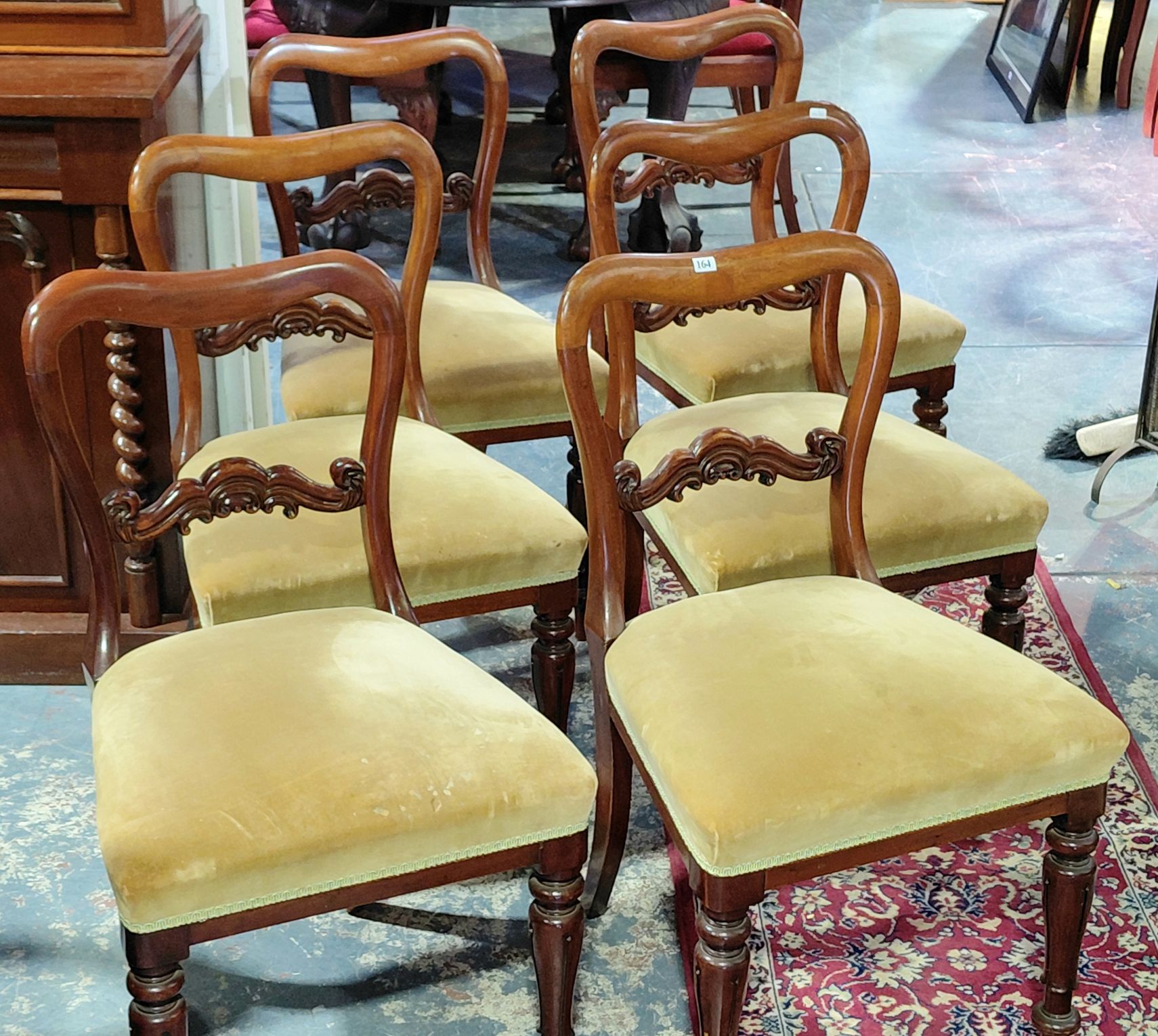 164 · WILLIAM IV DINING CHAIRS