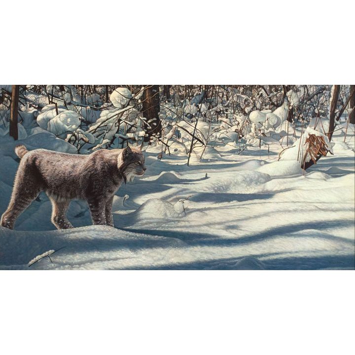 Richard Mravik, Winter Excursion