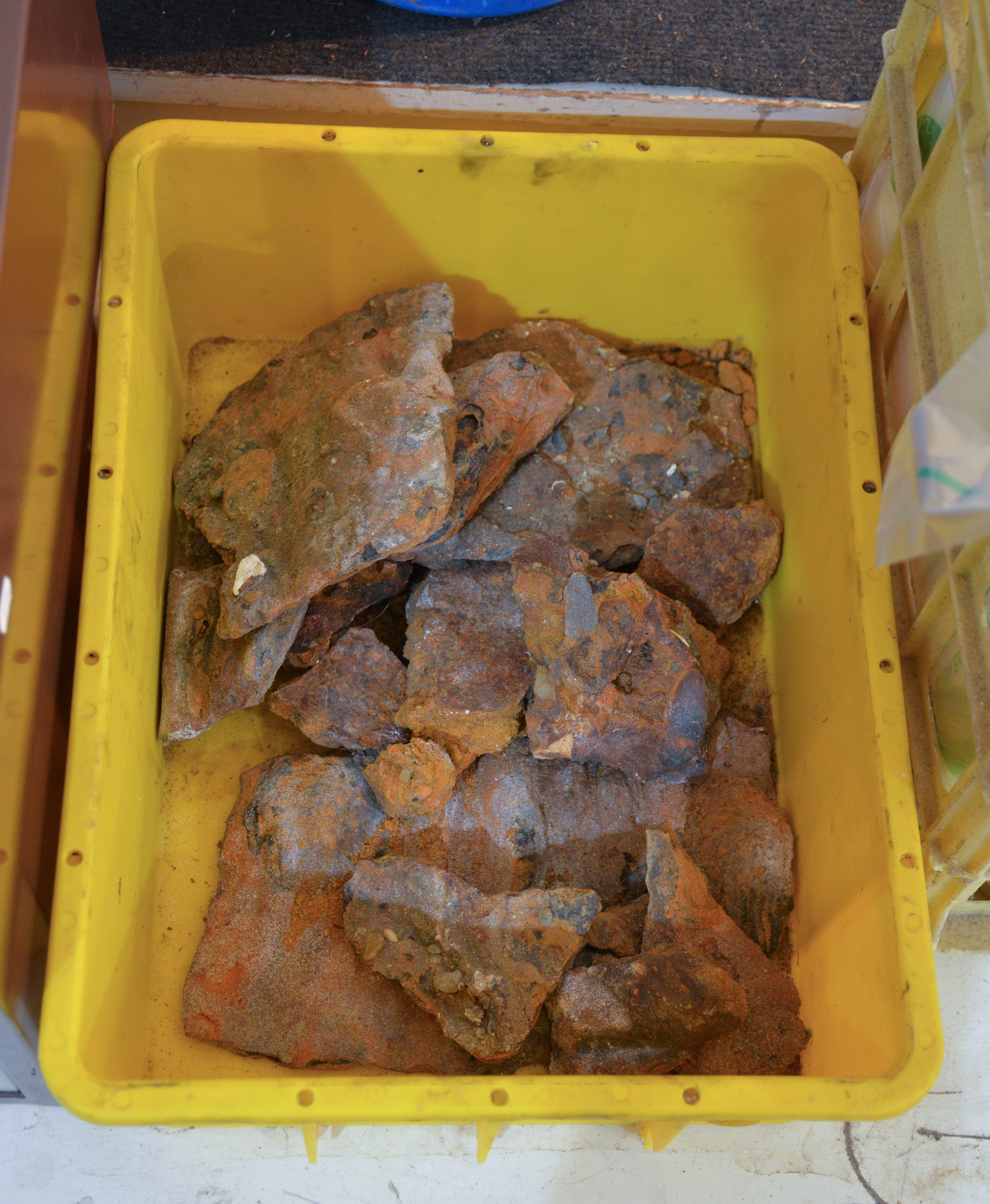 Box of Iron Oxide Sedimentary Rock — NZ auction result