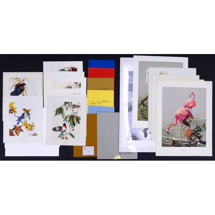 Large Group Roger Tory Peterson Limited Edition Lithographs. 23pc total.