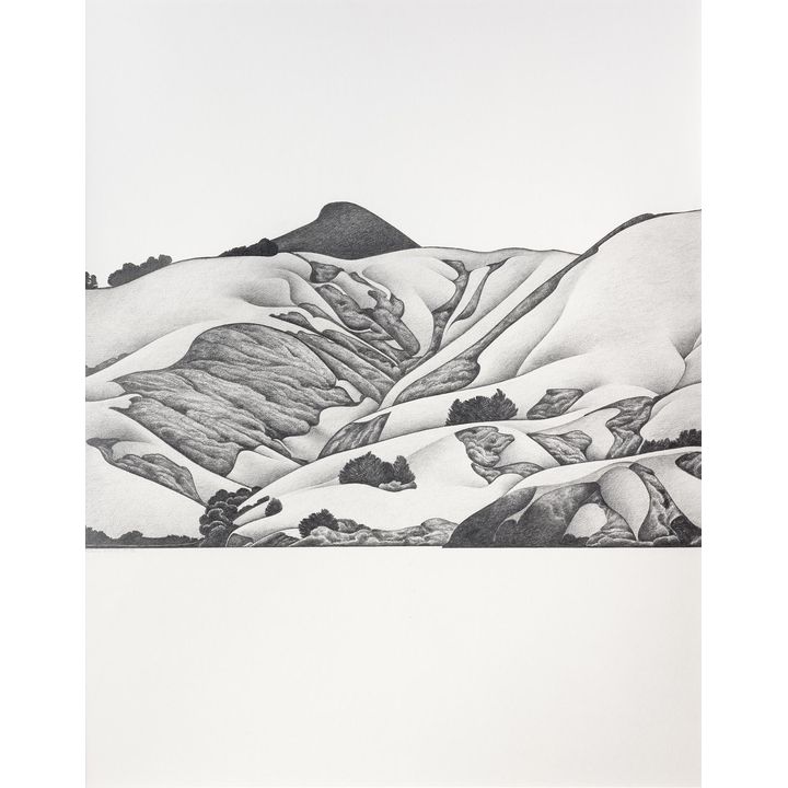 Robin White 'Hills across the Harbour'