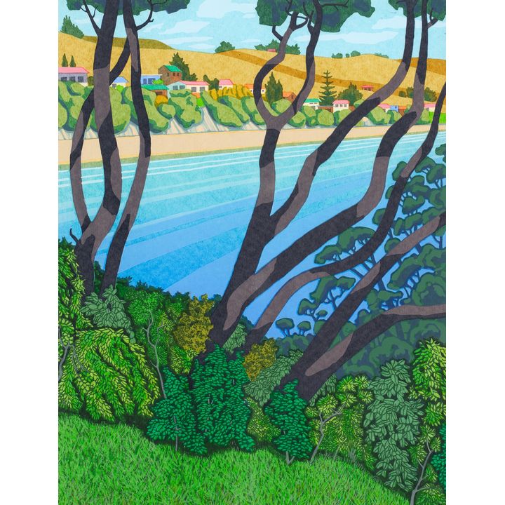 Fassett Burnett, Coopers Beach