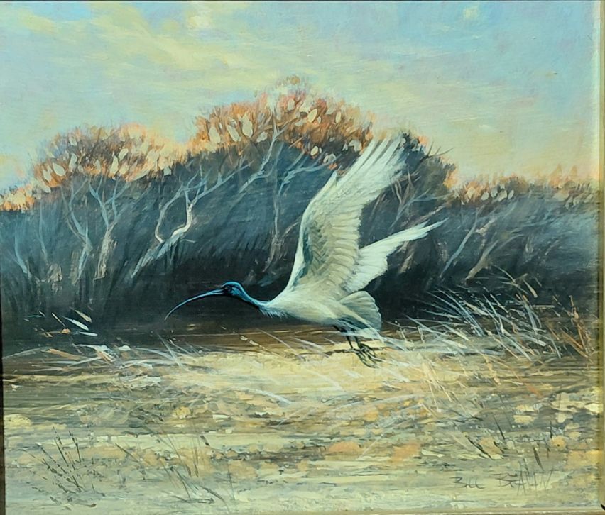 511 · BILL BEAVEN