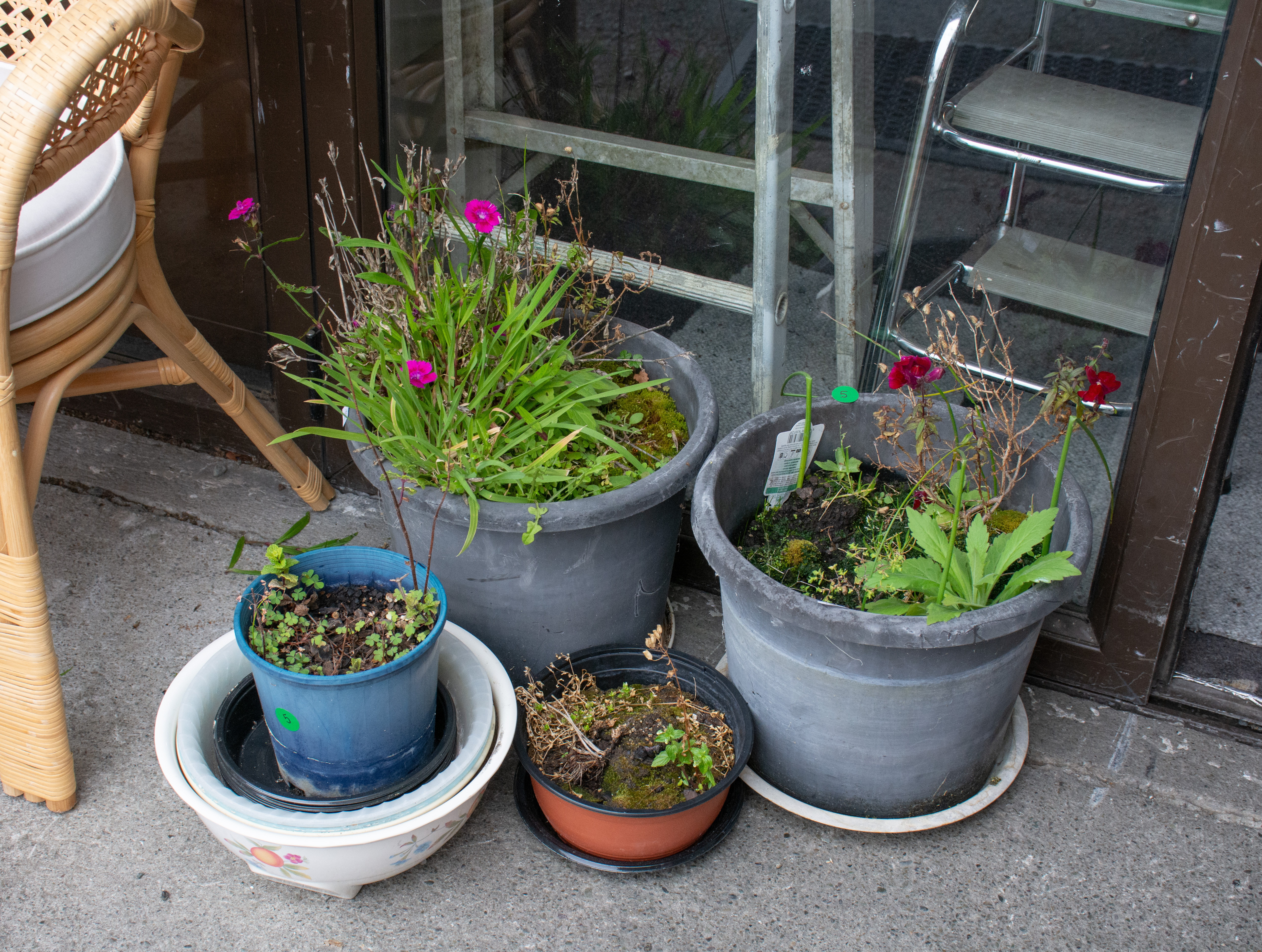 Plant Pots x 4 and Trays etc — sold at auction in New Zealand for $10