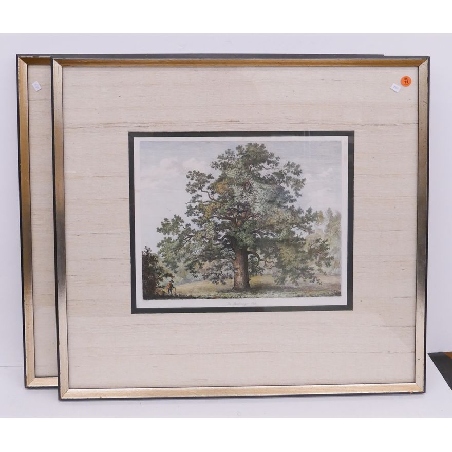 Pair J.G. Strutt 19th Century Landscape Engravings Framed- 24x26''