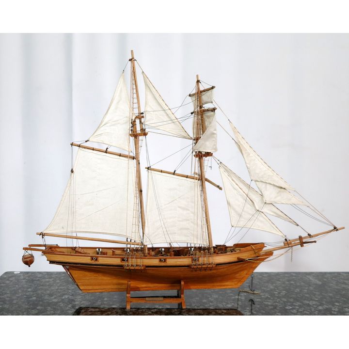 MODEL BALTIMORE CLIPPER "HARVEY"