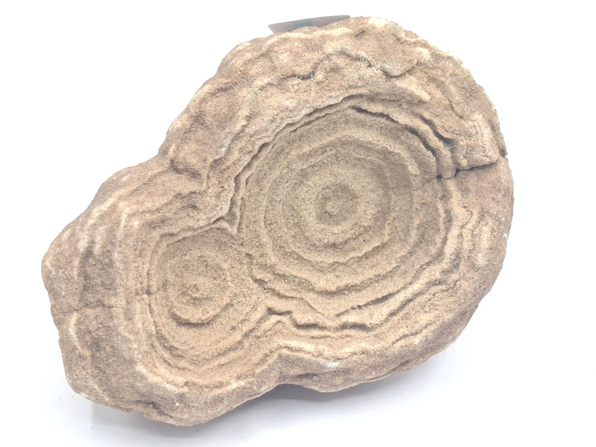 124 · STROMATOLITE