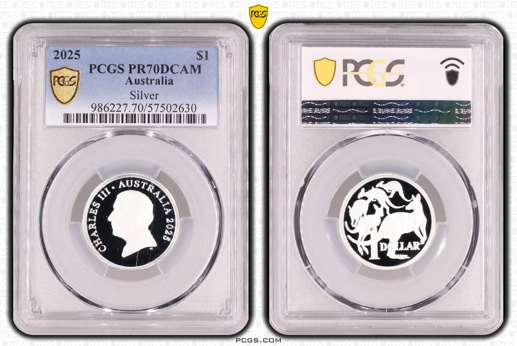 Silver, 13/0, One Dollar, 2025, PR70DCAM