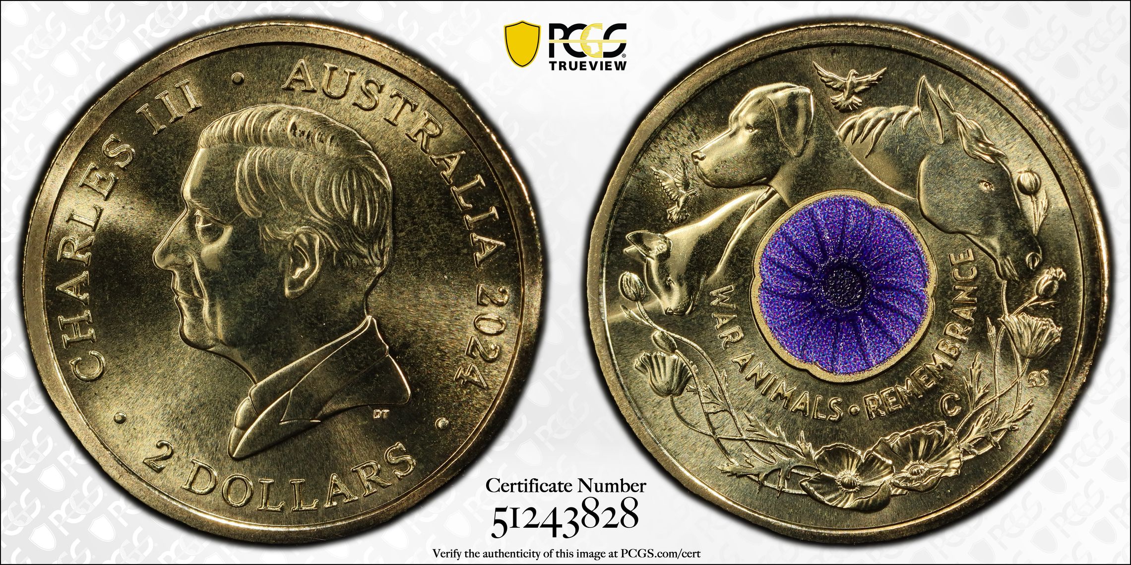 War Animal Remembrance Colorized, Two Dollar, 2024-C, PCGS MS70