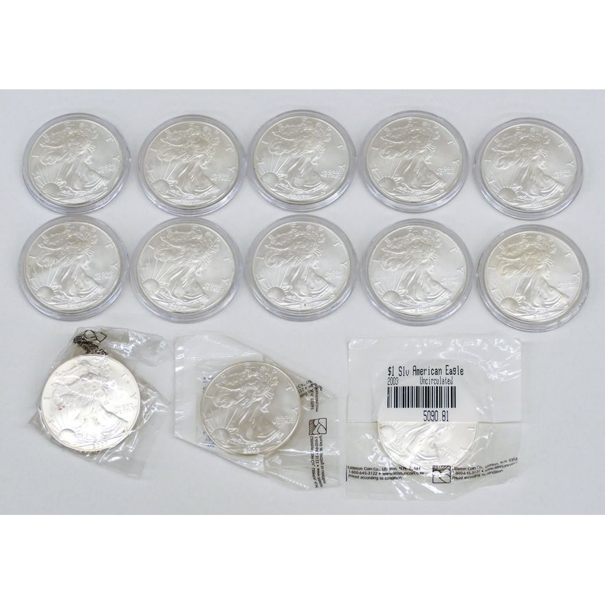 Box 13pc US Silver American Eagles 2002-2007