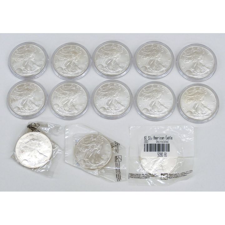 Box 13pc US Silver American Eagles 2002-2007