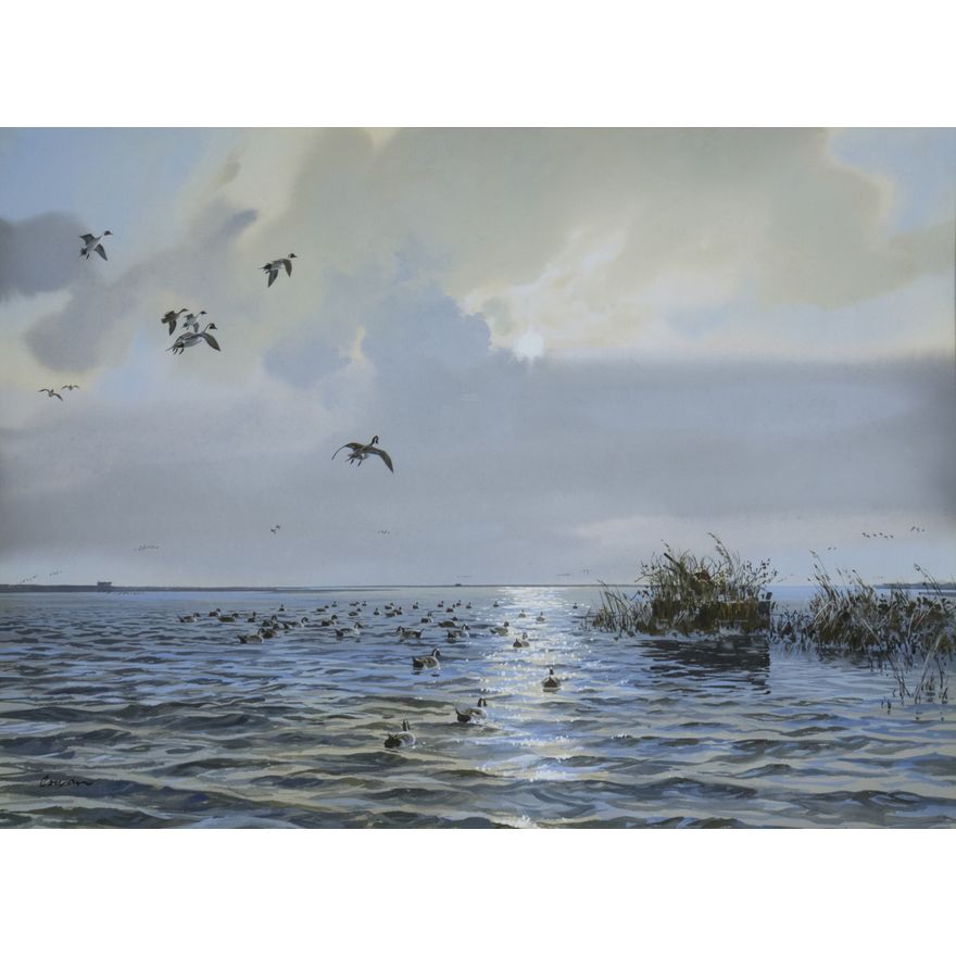 John Cowan (1920-2008), Pintails in Rockport, TX